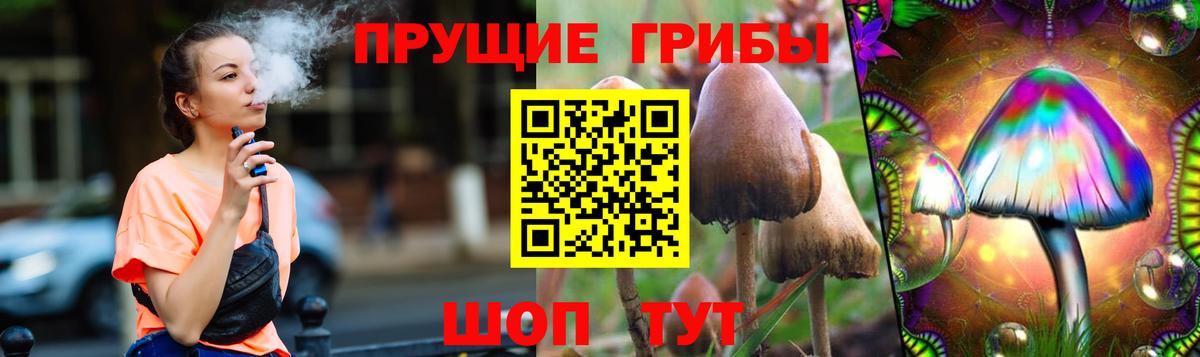 Валуйки  Галлюциногенные грибы Cubensis  Вход с VPN 